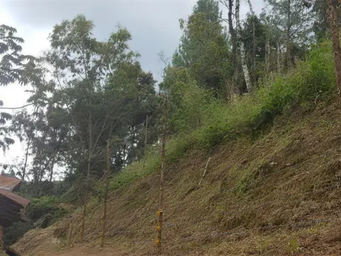 Cerca eléctrica instalada en ladera con aisladores amarillos sobre postes